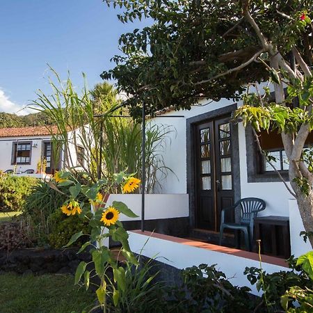 Jardim Do Triangulo - Alojamento Local Manadas Eksteriør billede